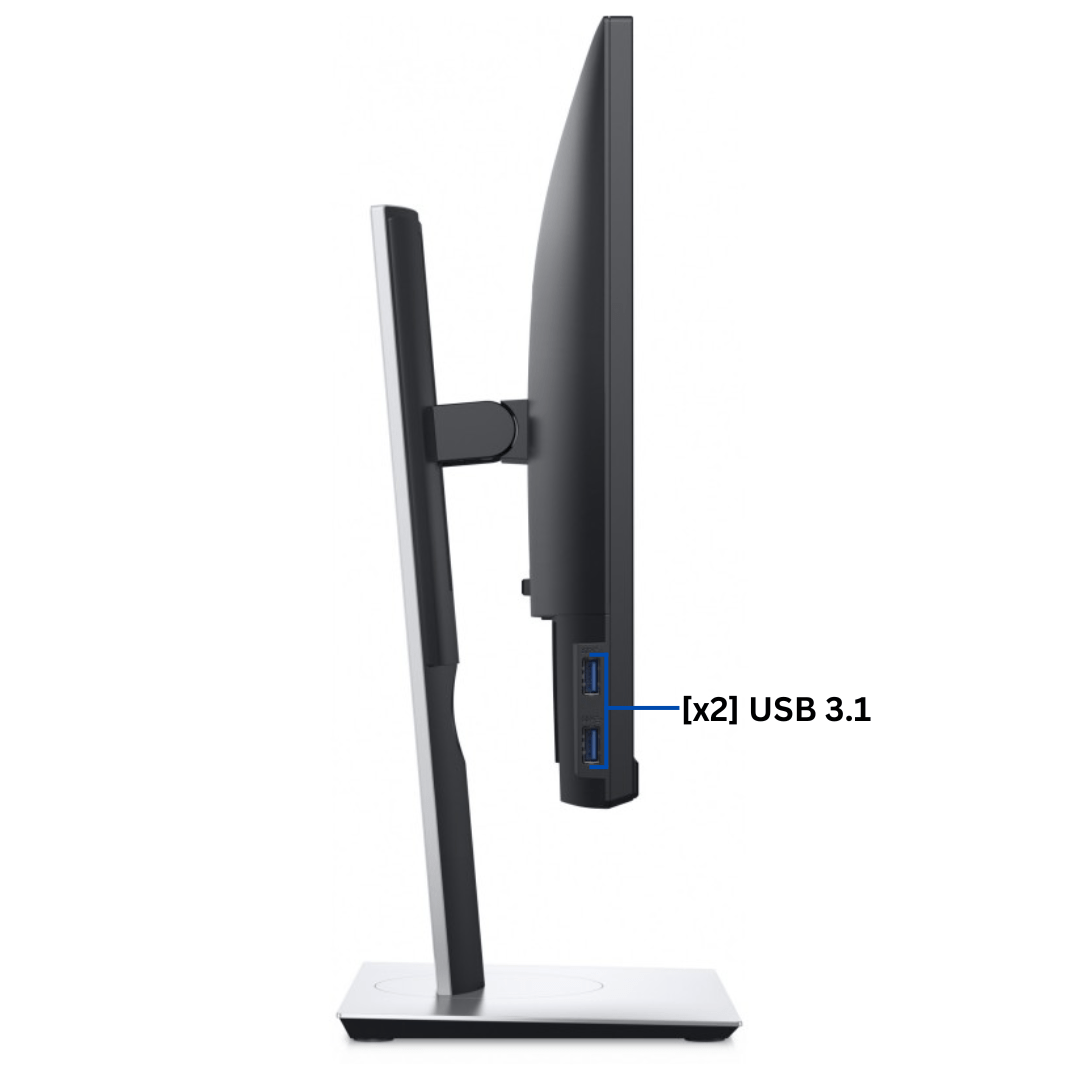 Left-side view of an upright Dell Professional P2219H Monitor port diagram, with all visible ports clearly labeled.