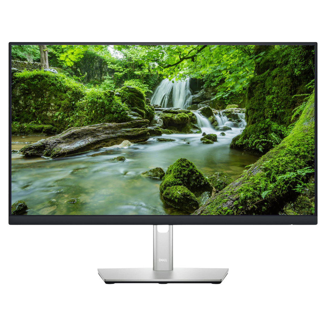 Dell Professional 24" P2422H FHD Monitor