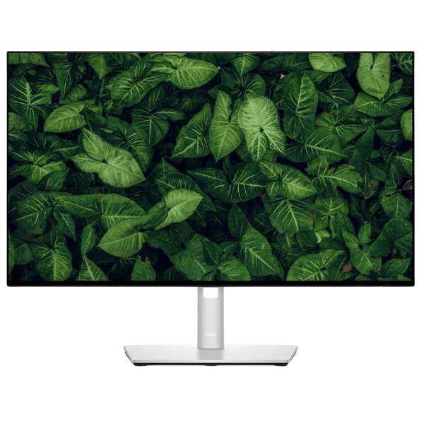 Dell Ultrasharp 22
