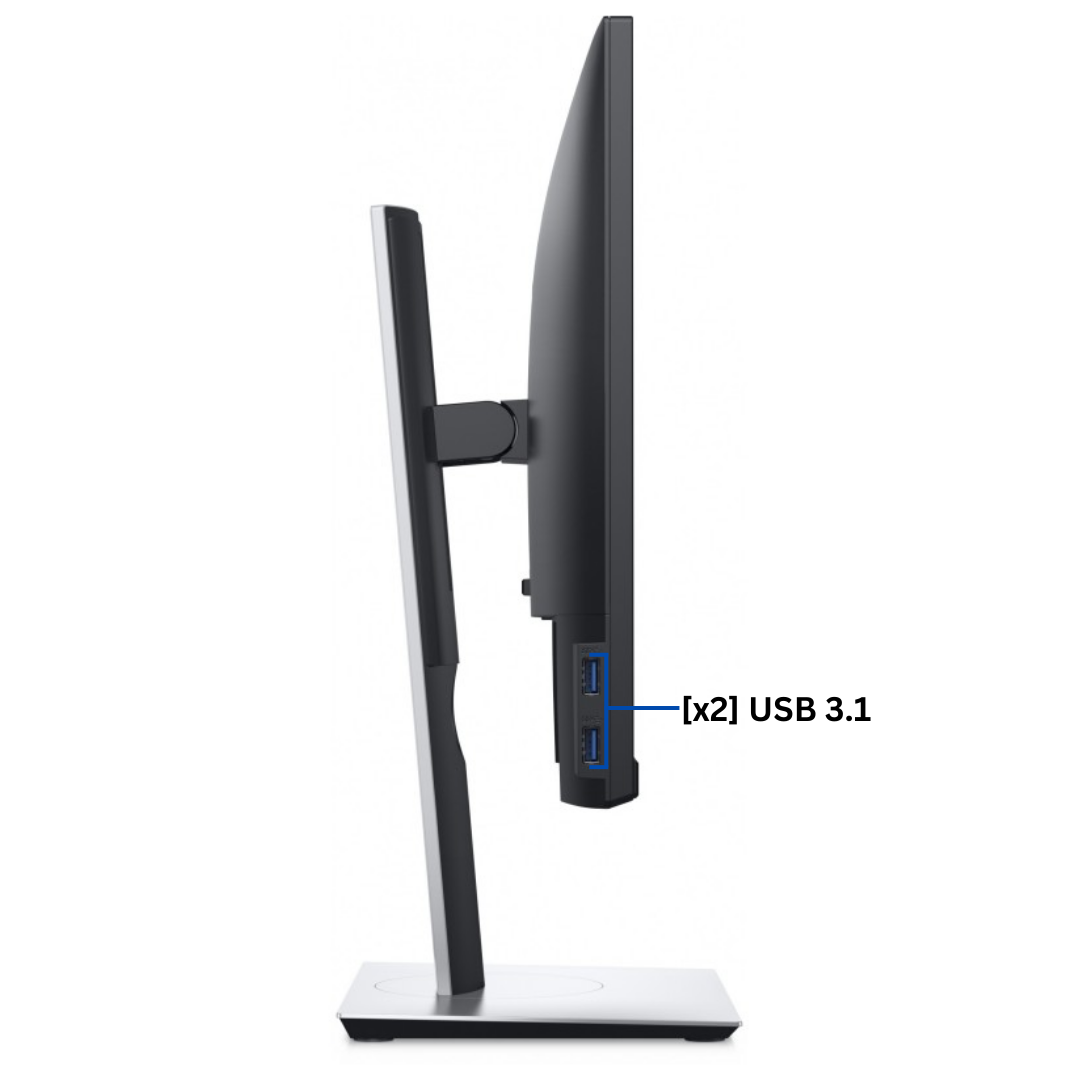 Left Side view of an upright Dell Professional P2417H Monitor port diagram, with all visible ports clearly labeled.