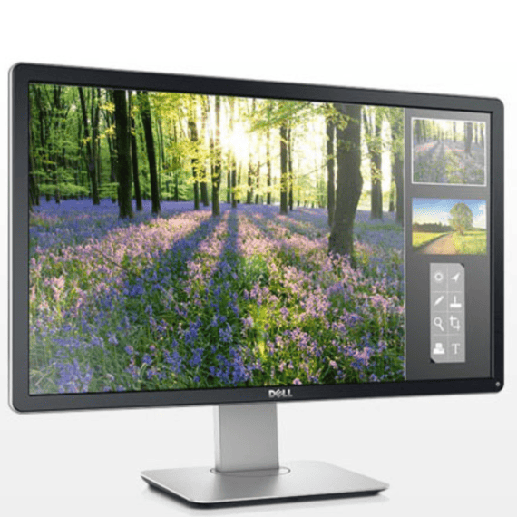 Dell Professional P2414H 24" HD Monitor Slant View
