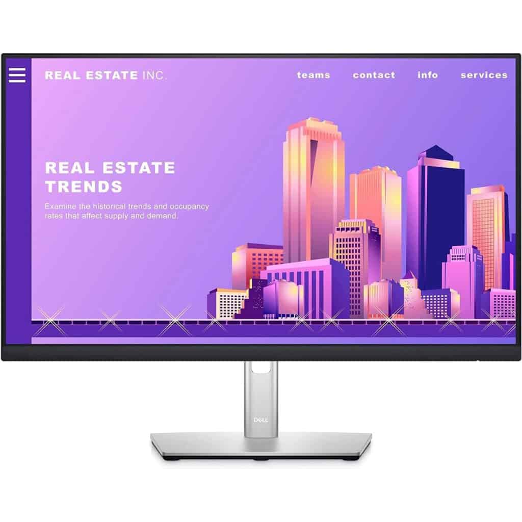 Dell Professional P2422H 24" Monitor Front View